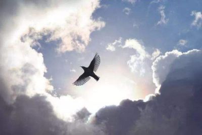 安全教育日主题演讲稿范文3篇