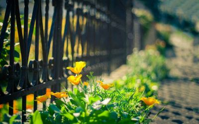 语文教研组集体备课活动总结8篇