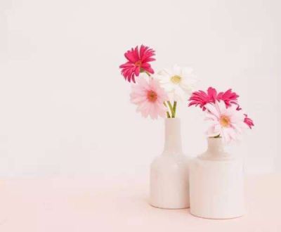 综合实践活动教学工作计划5篇