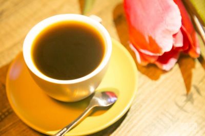 小学学校教学教研工作计划6篇