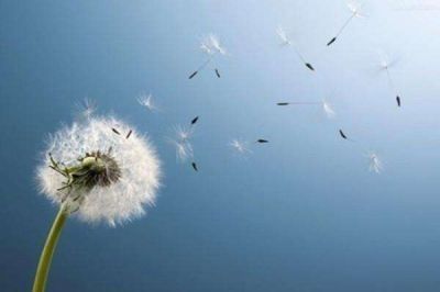 热门版《非暴力沟通》读后感范文3篇