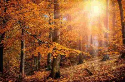 优秀版小学英语教学工作计划范文3篇