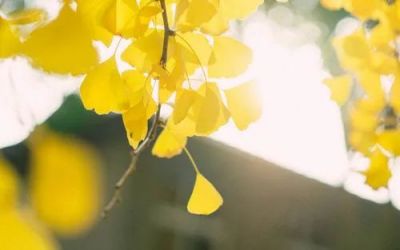 实用版《做不抱怨的教师》读后感范文3篇