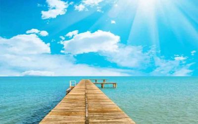 托班个人总结6篇