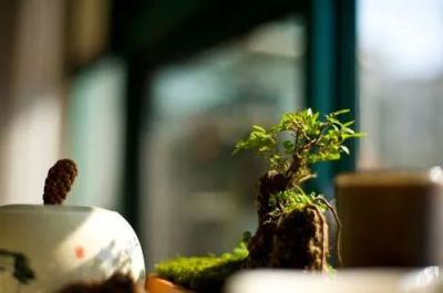 《自卑与超越》读后感精选范文4篇