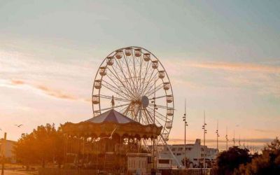 热门版《柳林风声》读后感范文4篇