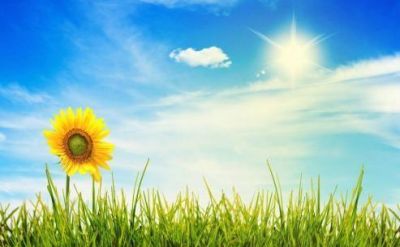 通用版《雷锋日记》读后感范文15篇