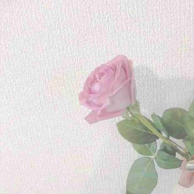 小学数学个人教学计划范文3篇