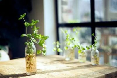 热门版《不跪着教书》读后感范文三篇