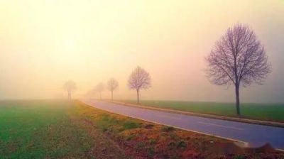 《苏东坡传》读后感集锦范文13篇