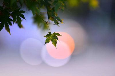 做个快乐的幼儿教师读后感5篇