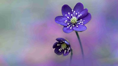 《会飞的教室》读后感实用范文5篇