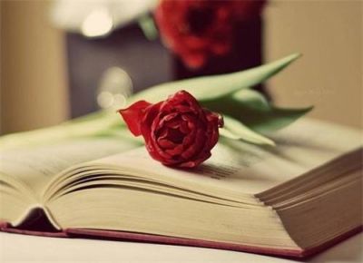 教师岗前培训心得体会精选范文3篇