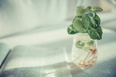 实用版《做最好的自己》读后感范文6篇