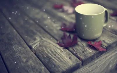 我被骗了作文400字模板8篇