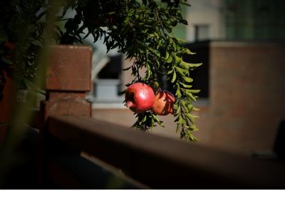 《谁动了我的奶酪》读后感热门范文9篇