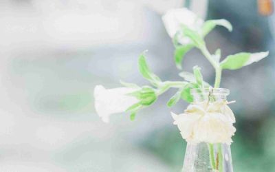 《雷锋日记》读后感模板范文6篇