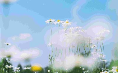 给幼儿教师的101条建议的读后感8篇