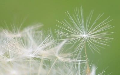 托班个人总结优秀5篇