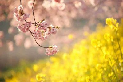 学生会主席竞选出色演讲稿范文3篇