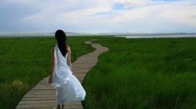 传统节日清明节作文集锦范文四篇