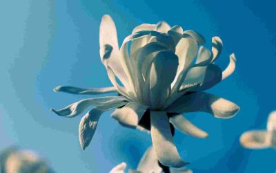 一年级数学下册教案人教版5篇