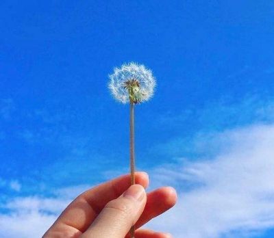 最新高中英语学期教学工作计划5篇