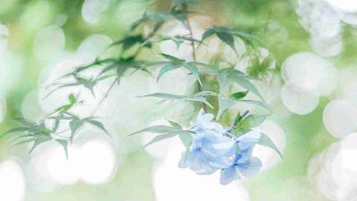 少先队工作计划通用范文3篇