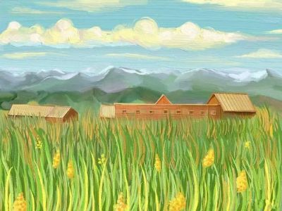 五年级数学教师教学工作计划范文5篇