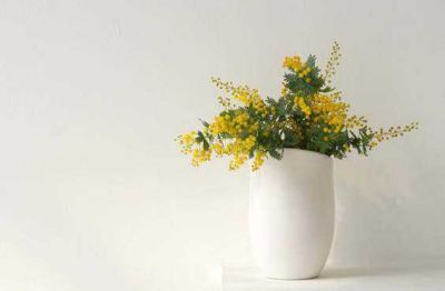 教师岗前培训心得体会实用范文3篇