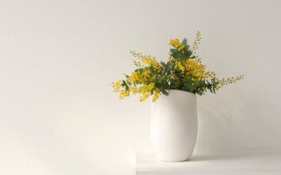 热门版《遇见未知的自己》读后感范文3篇