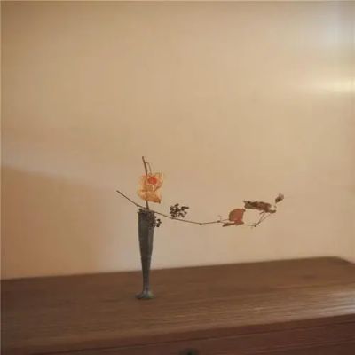 精选版《梅花魂》读后感范文10篇