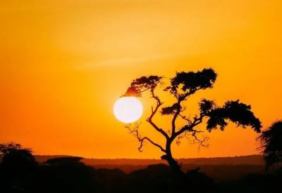  精选版《地心游记》读后感范文4篇