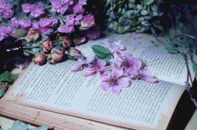 《云边有个小卖部》读后感合集范文7篇