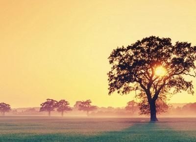  通用版《做不抱怨的教师》读后感范文3篇