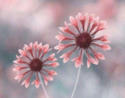 《不抱怨的世界》读后感模板范文10篇