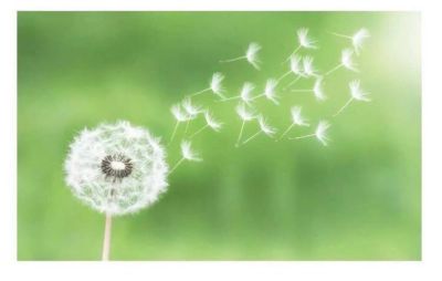 《做最好的自己》读后感热门范文6篇