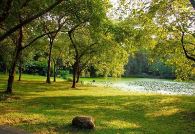 《不输在家庭教育上》读后感精选范文3篇