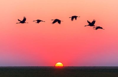 庆中秋亲子活动总结6篇