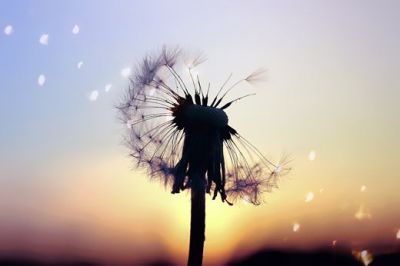 小班下学期教学计划指导思想5篇