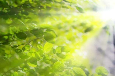 通用版小学英语教学工作计划范文3篇