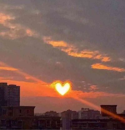 社区庆中秋活动总结8篇