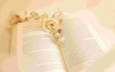 最新版教师师德师风述职报告范文三篇