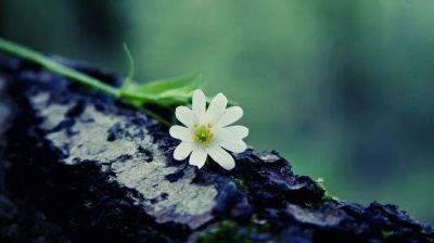 热门版《乡土中国》读后感范文8篇