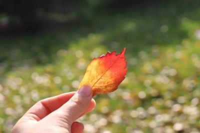 学生会主席竞选演讲稿通用范文3篇