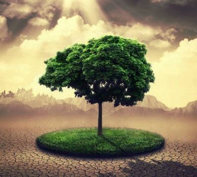 幼儿园大班教学计划2022春季5篇