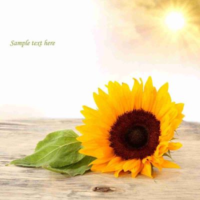 《我要做好孩子》学生读后感范文4篇