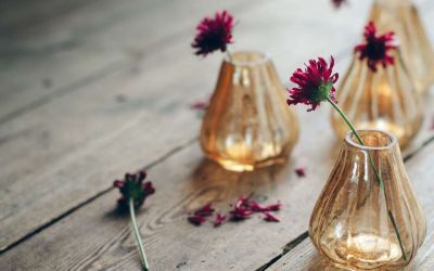  2022《柳林风声》读后感范文4篇