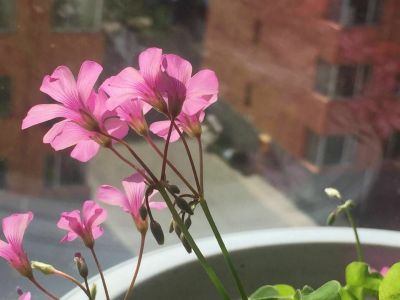 精选版房产赠与合同范文