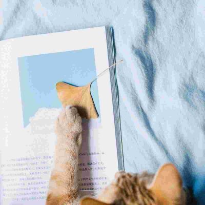 有关《养花》读后感范文5篇